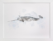 Whale Series Two Fine Art Prints