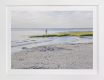 Across the Wetland Fine Art Prints
