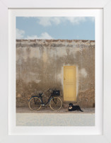 Island Dog Fine Art Prints