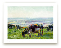 Marin Cows by Alex Elko Design