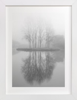Real Reflections