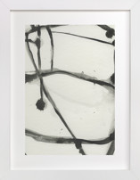 Plant Cell 3 Fine Art Prints