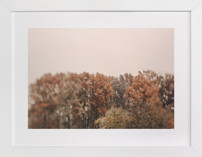 Oak Leaves and Snowflakes