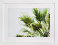 Singularity Fine Art Prints