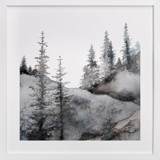 Timberline Fine Art Prints
