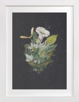 Night Mint Blossom