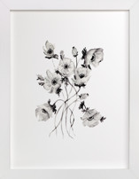 Greyscale Poppies