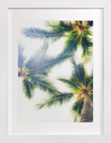 look up Fine Art Prints