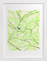 Plum tree with Birds in Spring Fine Art Prints