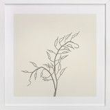 Wild Radish Fine Art Prints