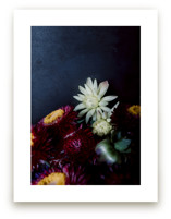 Dark Fall Flowers by Katie Buckman