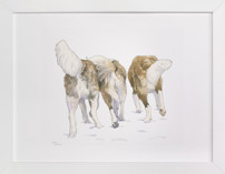 Fluffy Buns Fine Art Prints