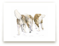 Fluffy Buns by Natalie Groves