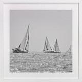 Four Sails Fine Art Prints