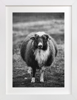 The General Fine Art Prints