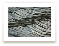 Wave Forms by Sea and Sky