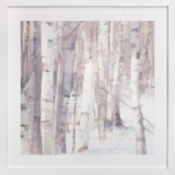 Winter Birches Fine Art Prints