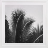 Afternoon Calm Fine Art Prints