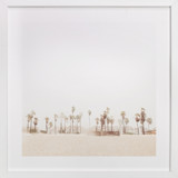 Stormy Palms Fine Art Prints