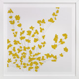 Forsythia