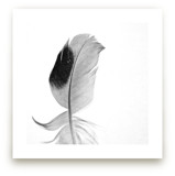 Ruffled Feather by Sarah Luna