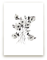 Greyscale Poppies by Shannon Kirsten