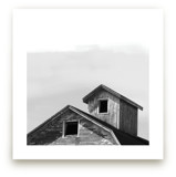 Salvage - Barn Series 3 by Sheila Corcoran