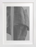 rainforest leaf Fine Art Prints