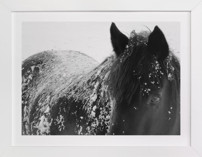 A Shadow In A Storm Fine Art Prints