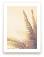 Golden Palm Tree by Wilder California
