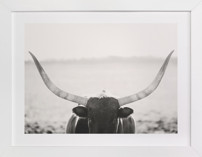 Staredown Fine Art Prints