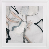 Southern Cotton Double Bloom Square Fine Art Prints