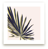 Palm Study #1 by Cindy Lackey