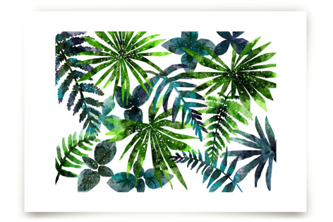 rainforest Art Prints