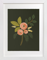 Botanical no.1 Fine Art Prints