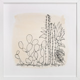 my cactus garden Fine Art Prints