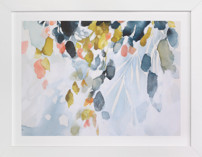 Komorebi Fine Art Prints