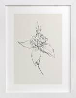 Fuchsia 1 of 2 Diptych