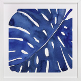 Azul II