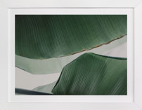 leaf & light 4 Fine Art Prints