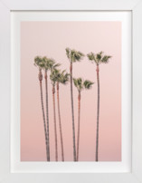 Seven Palmtrees Fine Art Prints