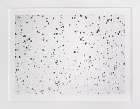 Flight Pattern Fine Art Prints