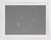 Flight and Hike I Fine Art Prints