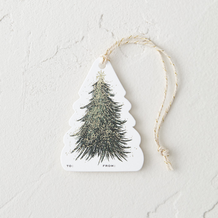 Frosted Tree Gift Tags by Leah Bisch Minted