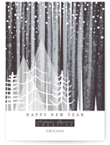 Snowfall