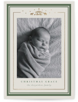 Starlit Nativity Foil-Pressed Holiday Cards