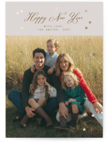 Twinkling Wishes Foil-Pressed Holiday Cards