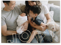 Jump Foil-Pressed Holiday Cards