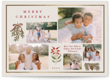 Classic Bough Foil-Pressed Holiday Cards