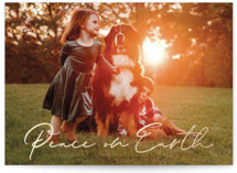 Peaceful Greeting Foil-Pressed Holiday Cards